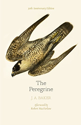 Book cover of The Peregrine