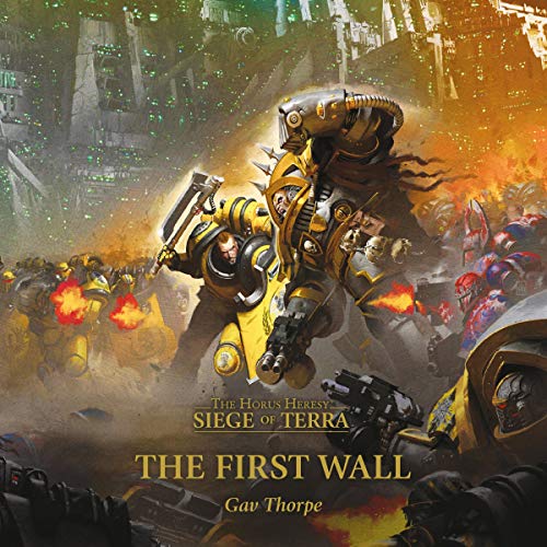 Book cover of The First Wall